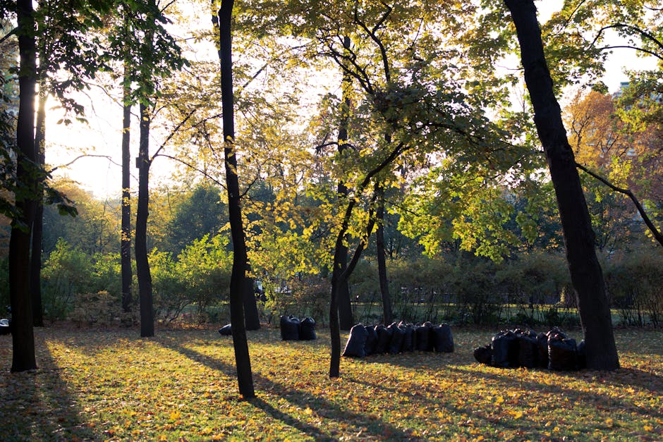 A serene park scene during late afternoon with sunlight filtering through the branches of tall deciduous trees that have green and yellow leaves. The ground is covered with fallen yellow and brown lea